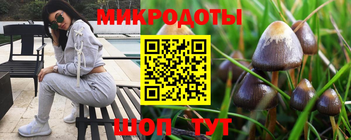 Псилоцибиновые грибы мухоморы Медногорск