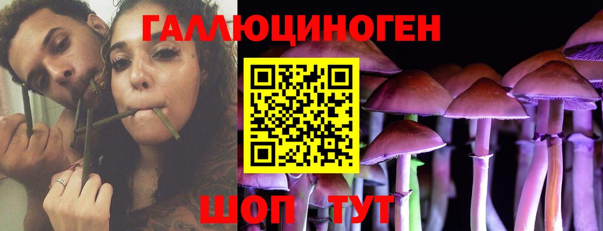 Псилоцибиновые грибы Psilocybine cubensis  Псилоцибиновые грибы Psilocybe  где купить наркоту  Вход с VPN  Медногорск 